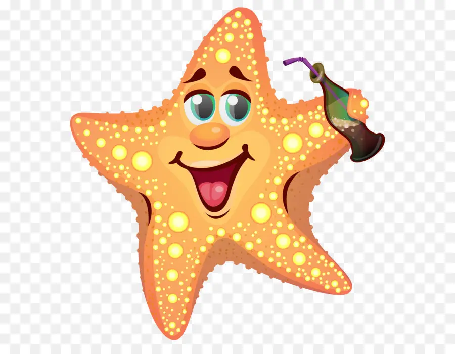 Estrela Do Mar，Cartoon PNG