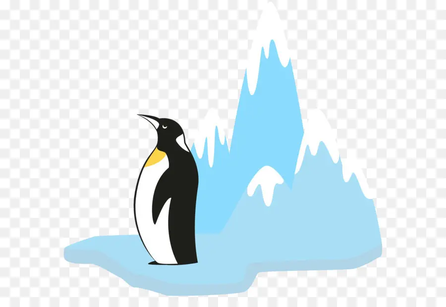 Penguin，Glacier PNG