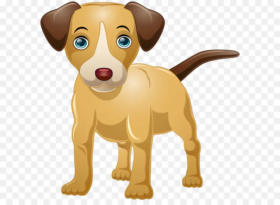 Filhote De Cachorro，Cachorro PNG