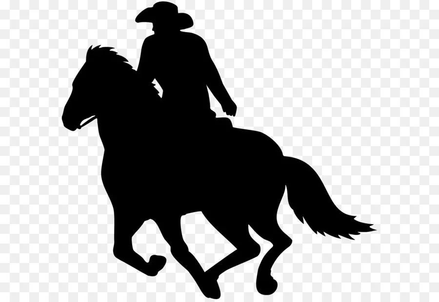 Cowboy A Cavalo，Cavalgando PNG