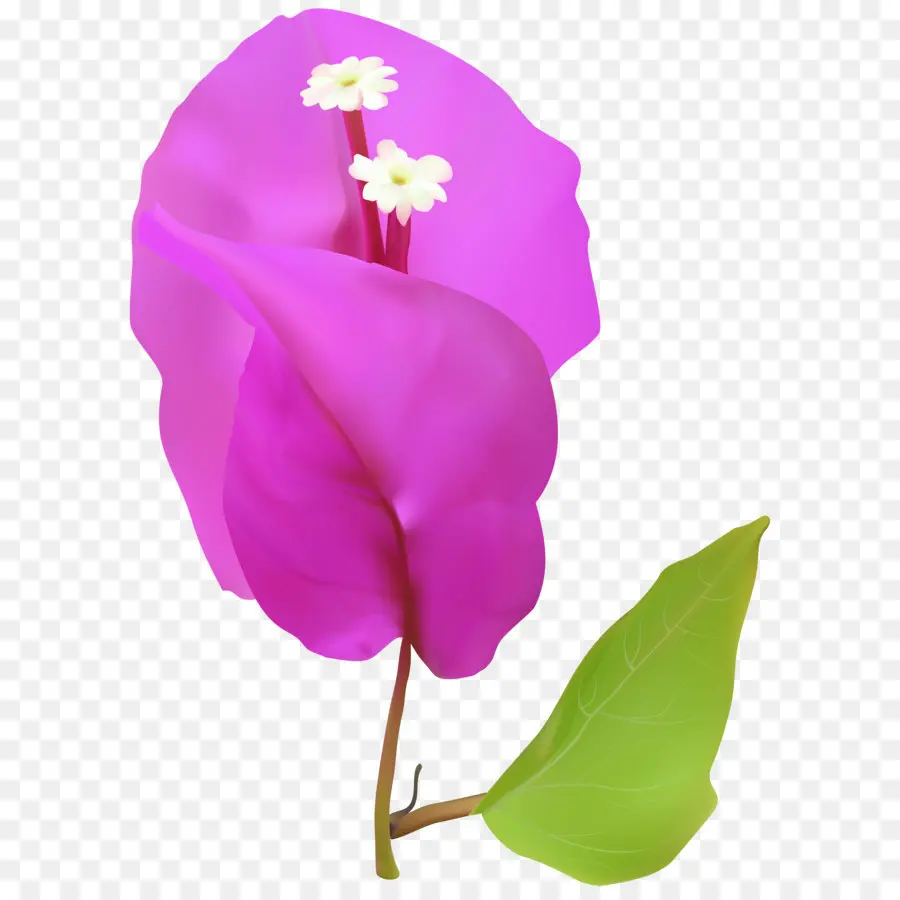 Flor，Pétala PNG