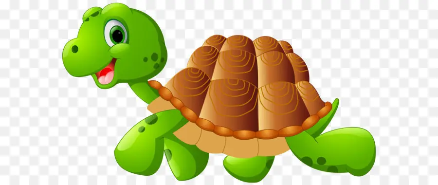 Turtle，Cartoon PNG