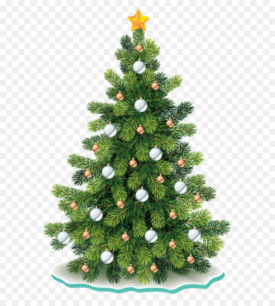 Nobre Fir，Natal árvore De PNG