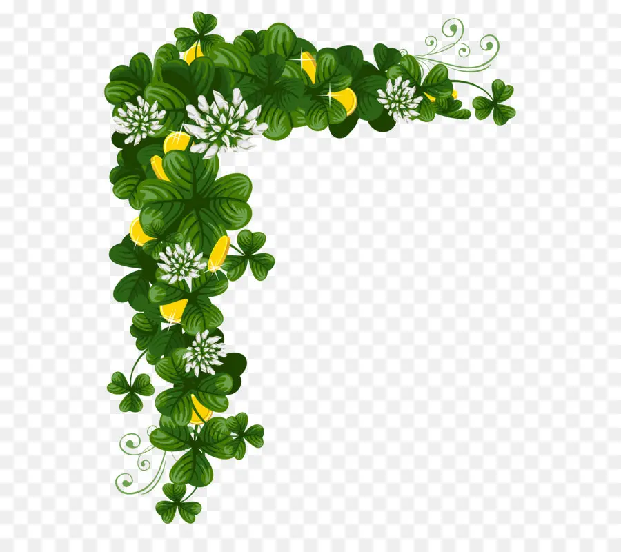 Saint Patrick S Dia，Shamrock PNG