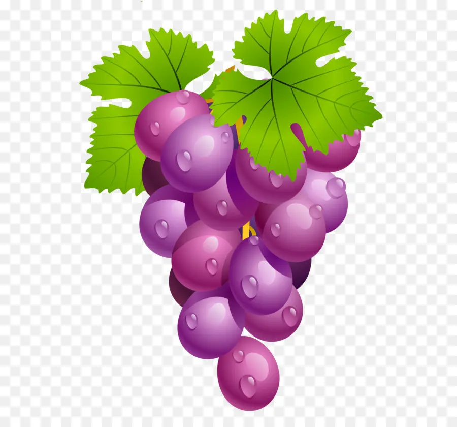 Vinho，Comum Uva Videira PNG