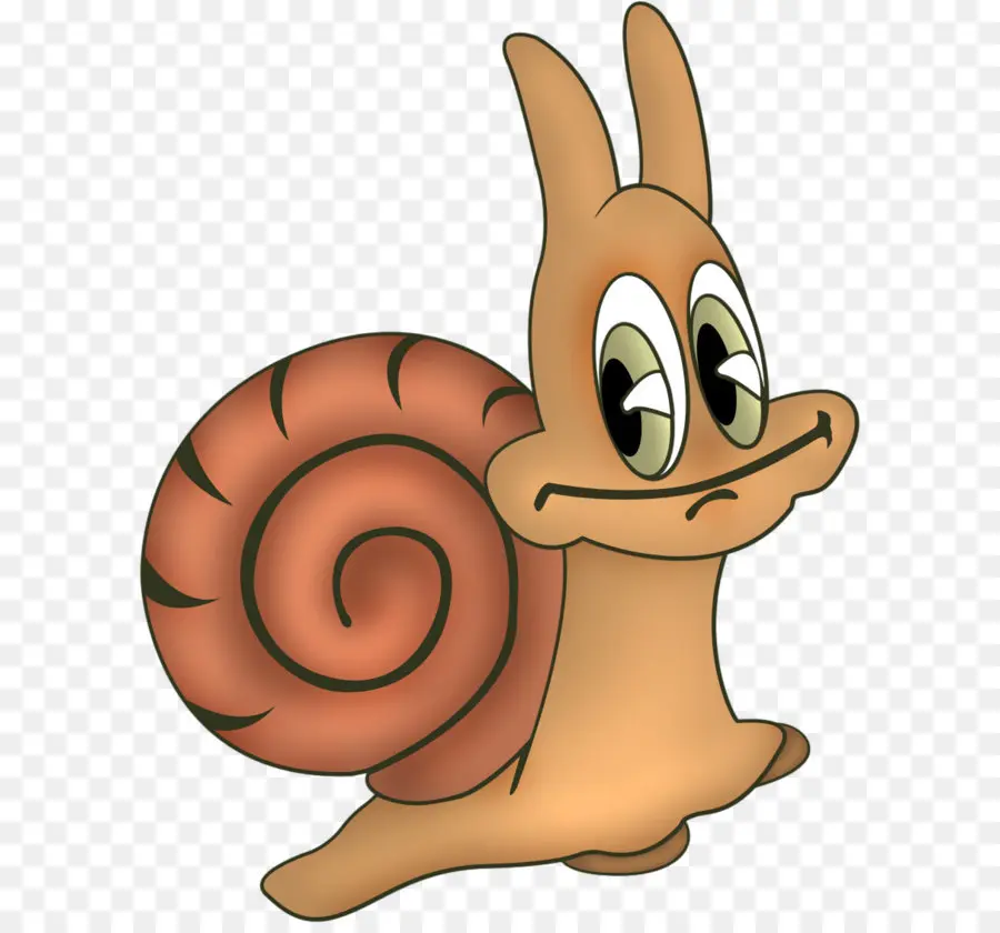 Caracol，Gastrópodes PNG