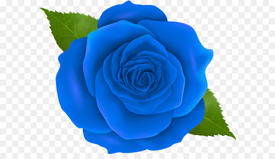 Top 100 rosas azules png