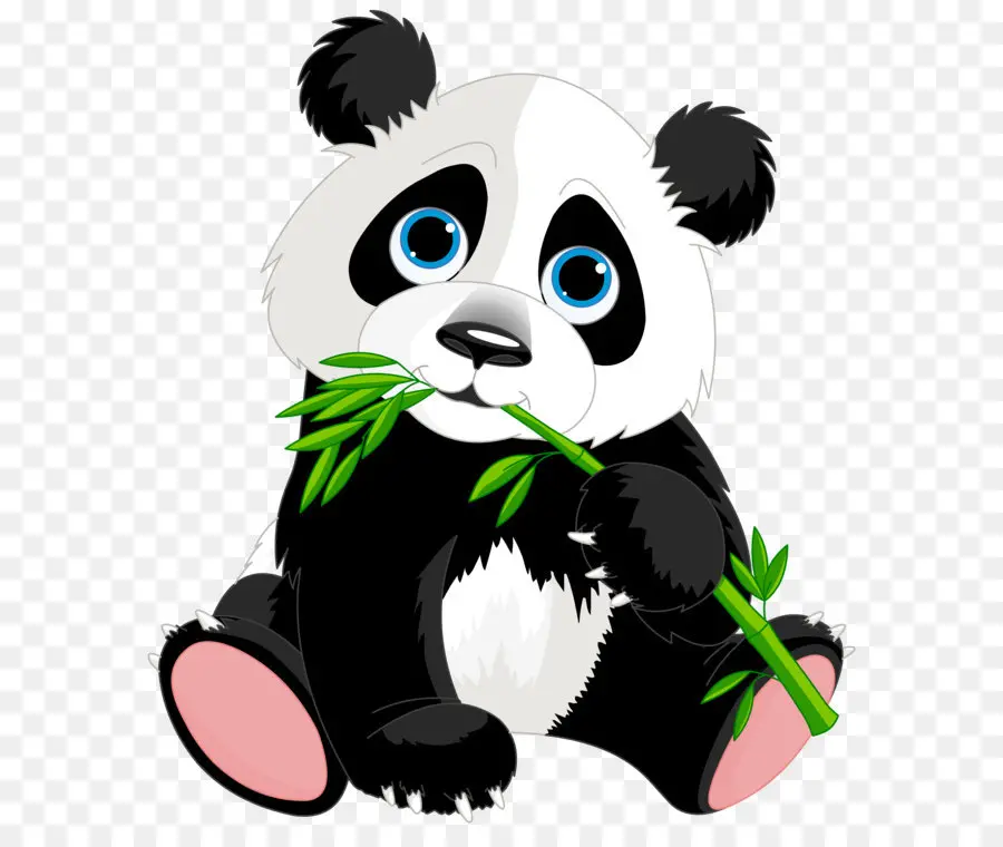 Giant Panda，Vermelho Panda PNG