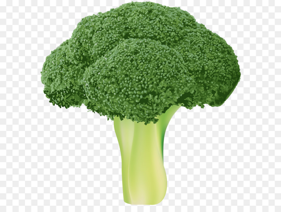 Desenho, Vegetal, Brócolis png transparente grátis