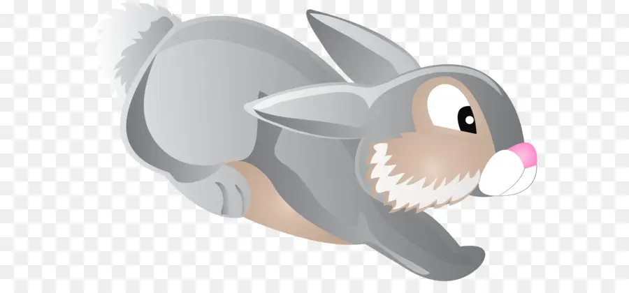 Bugs Bunny，Coelho PNG