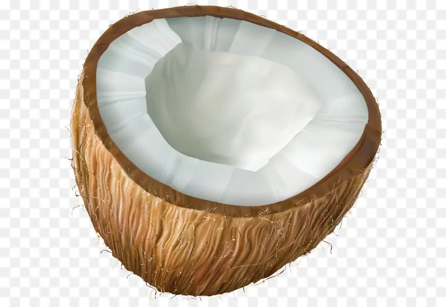 Coco，Blog PNG