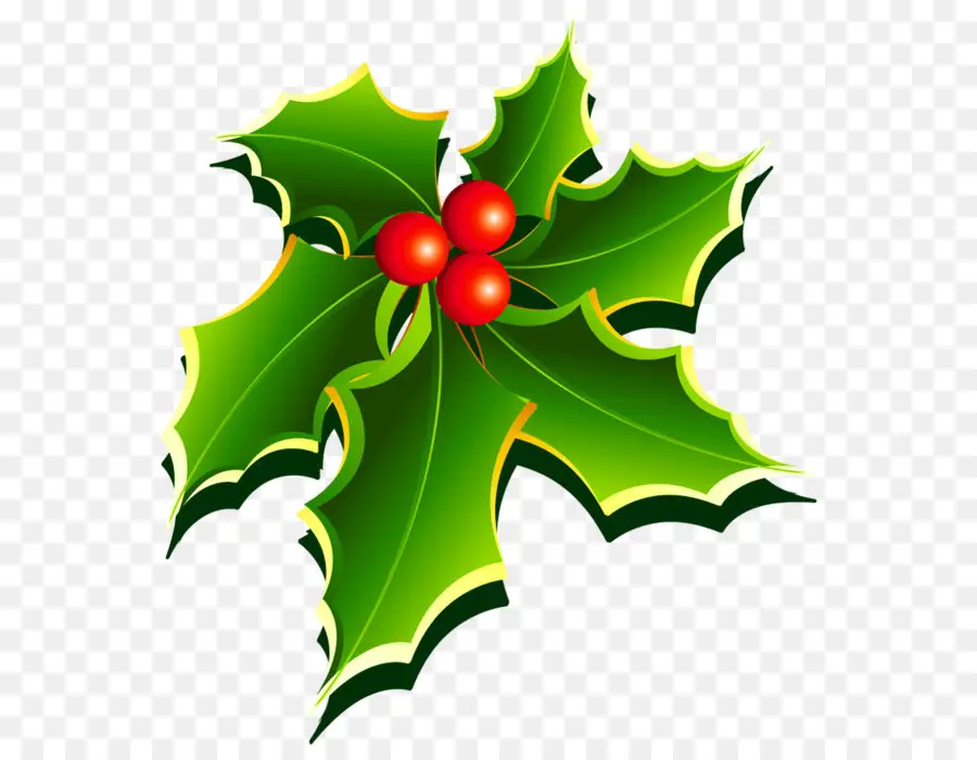 Comum Holly，O Visco PNG