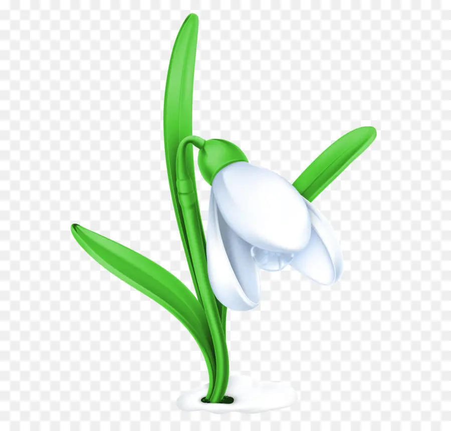 Flor Floco De Neve，Branco PNG