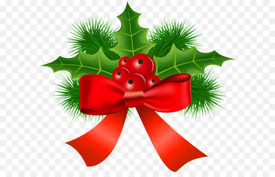 Comum Holly，Papai Noel PNG