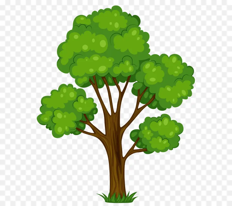 árvore，Royalty Livre PNG