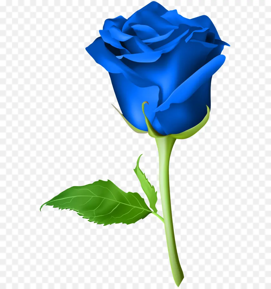 Rosa，Azul Rosa PNG