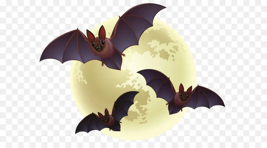 Bat，Dia Das Bruxas PNG