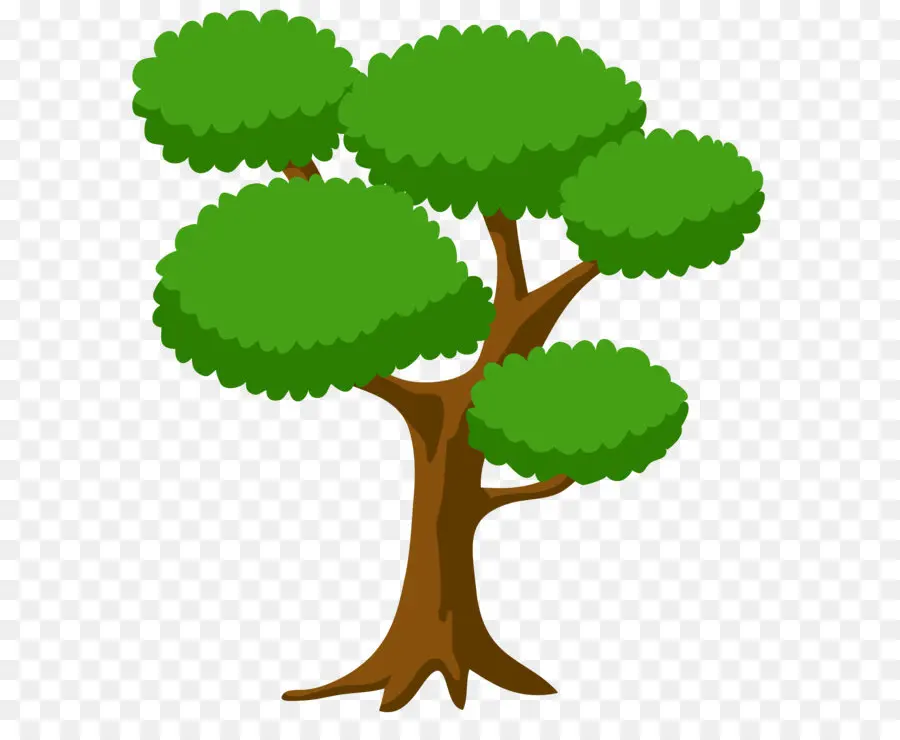 árvore，Ambiente De Trabalho Papel De Parede PNG
