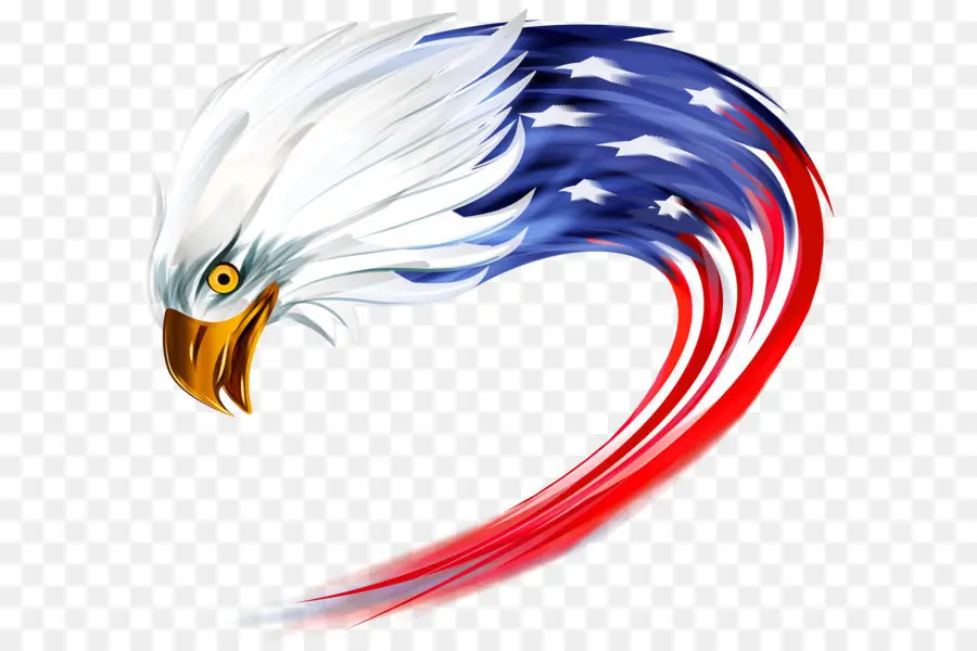 Estados Unidos，Americano Eagle Outfitters PNG