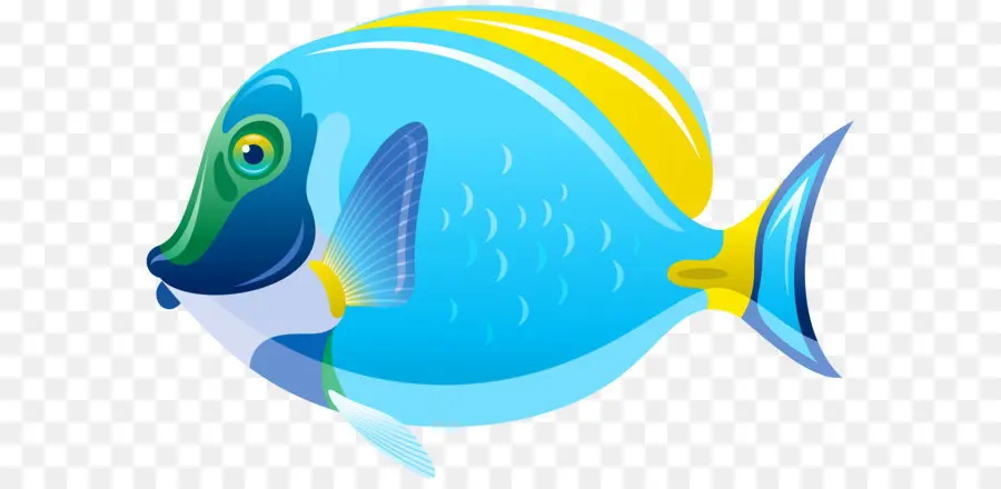 Peixe，água Salgada Peixe PNG