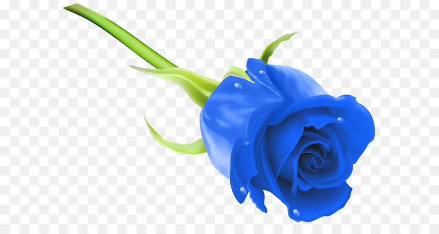 Rosa，Azul Rosa PNG