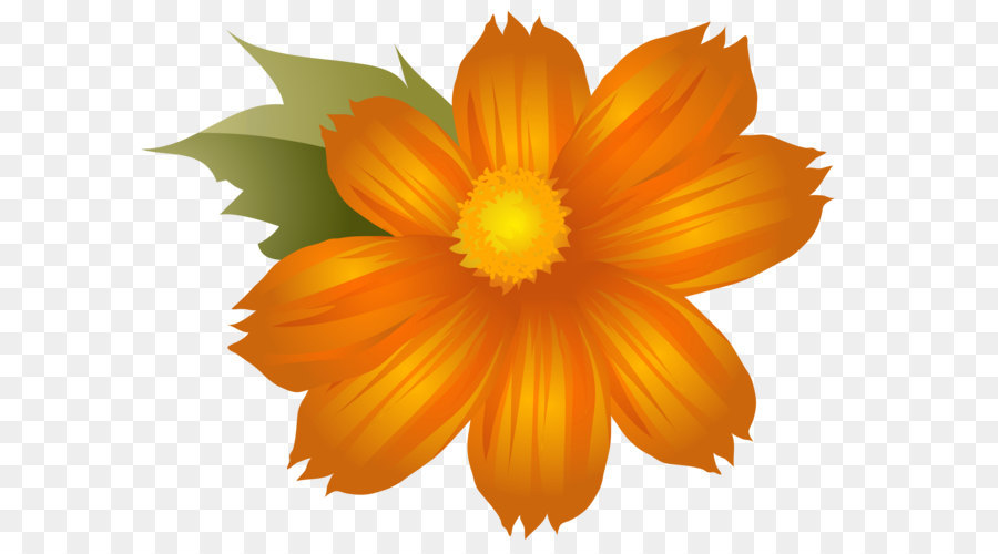 Featured image of post Flores Laranjas Png Download gratuito flores png imagens e cones