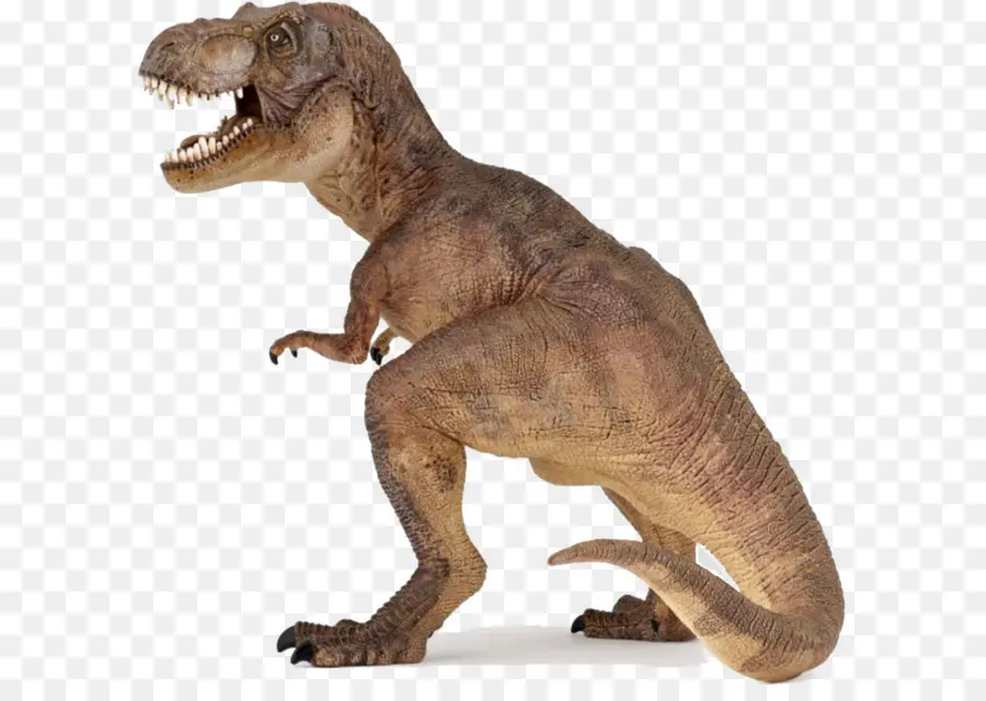 Tiranossauro，Acrocanthosaurus PNG