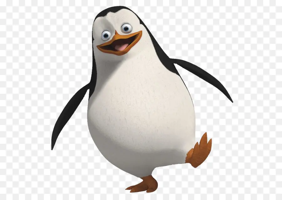 Capitão，Penguin PNG