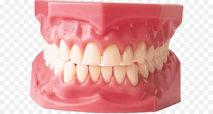 Dentaduras，Odontologia PNG