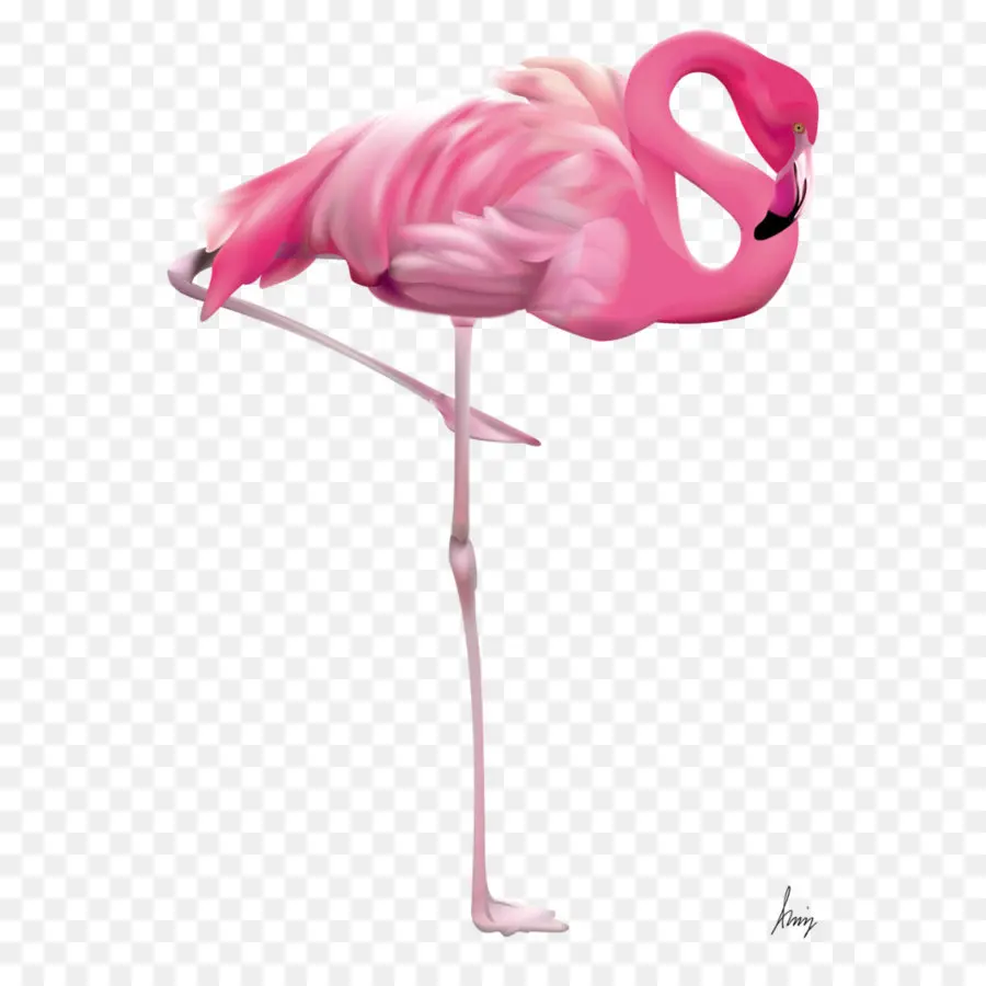 Flamingo，Bbcode PNG