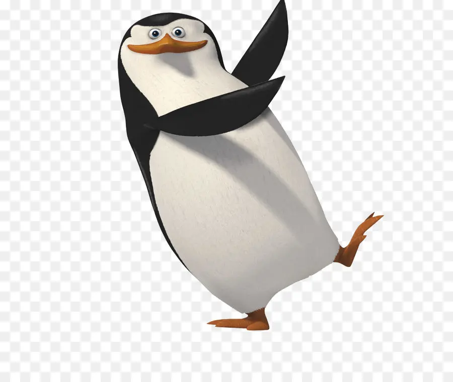 Pinguim，Pássaro PNG