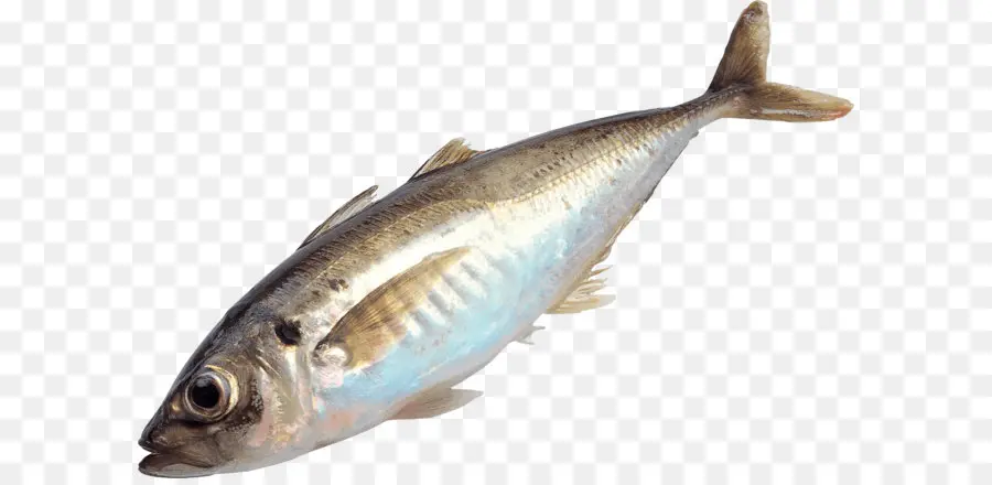 Peixe，Pesca PNG