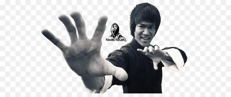 O Tao Do Jeet Kune Do，Artes Marciais PNG