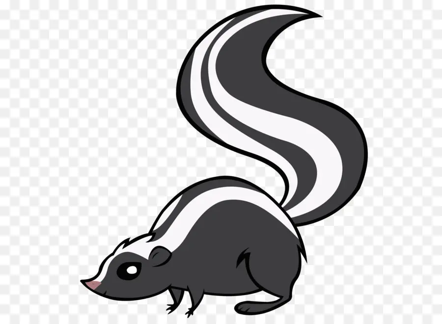 Skunk，Imagem De Resolução PNG
