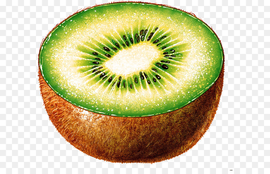 Kiwi，Comida PNG