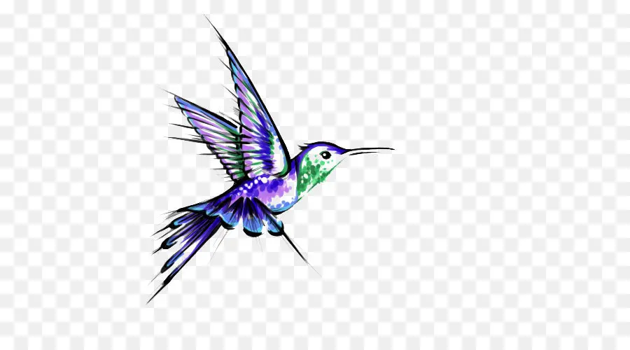 Colibri，Colorido PNG