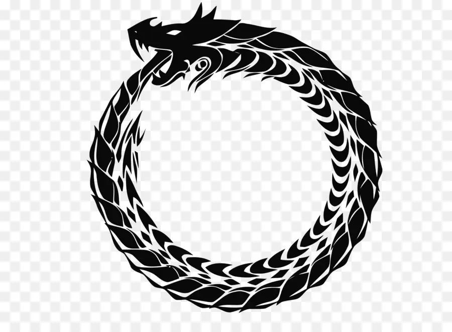 Ouroboros，Dragão PNG