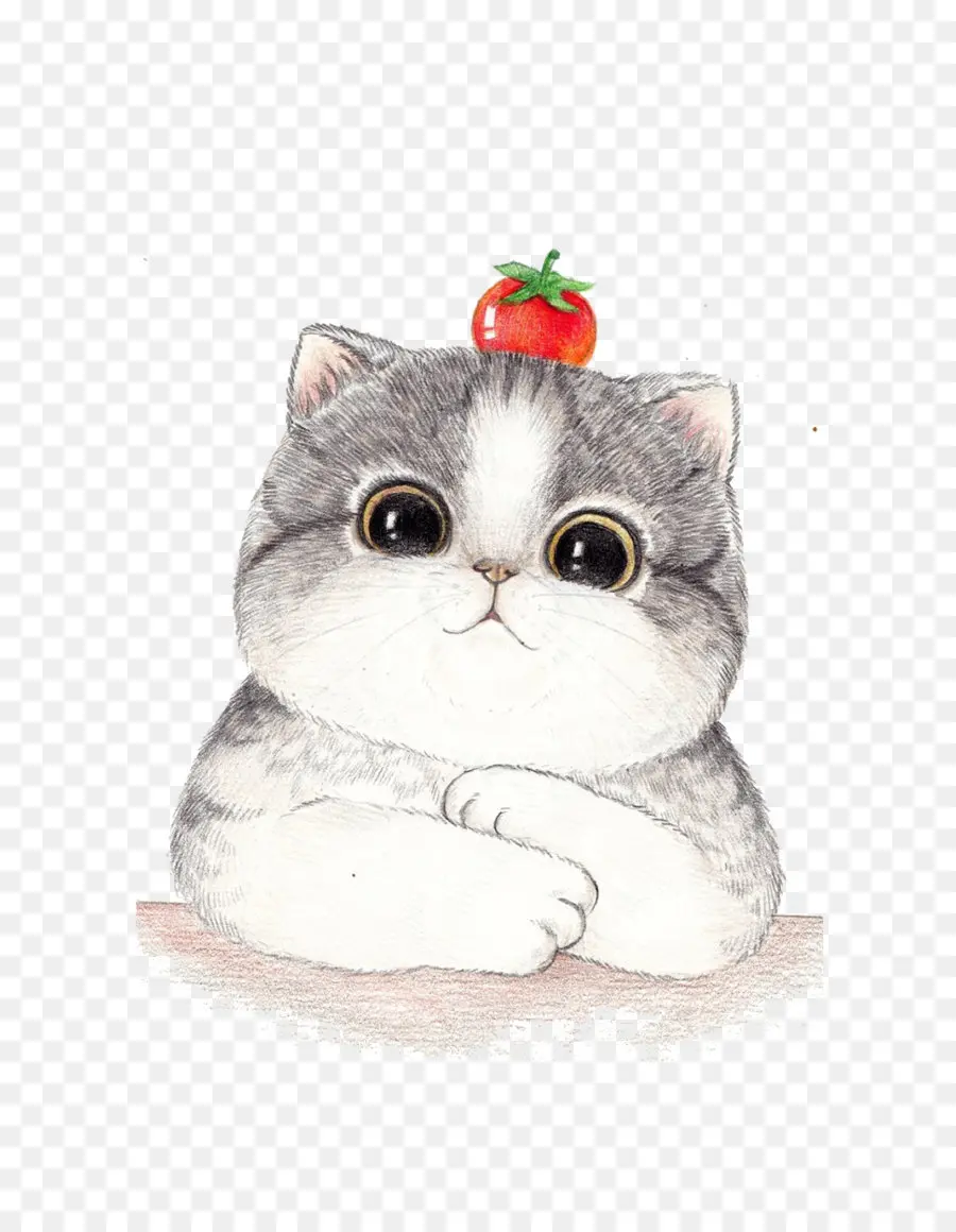 Gato Fofo Com Tomate，Gatinho PNG