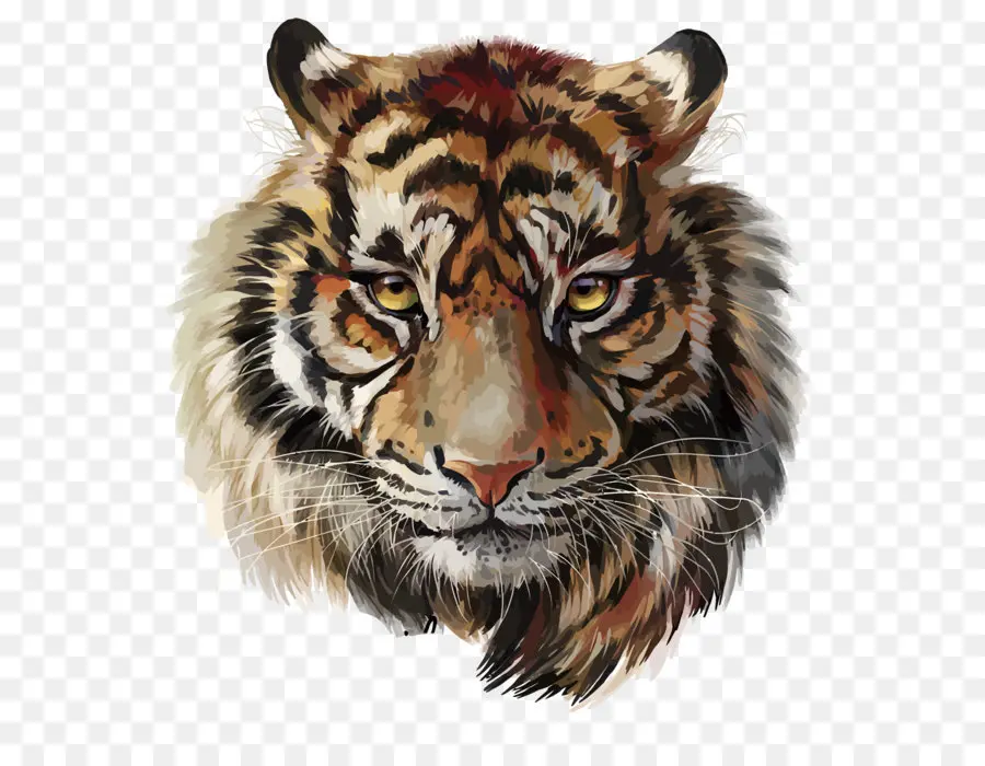 Tigre，Aquarela Pintura PNG