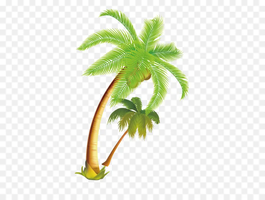 Coco，árvore PNG