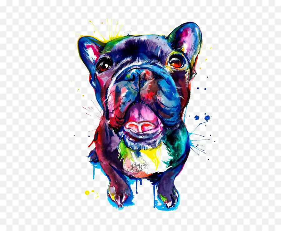 Francês Bulldog，Bulldog PNG