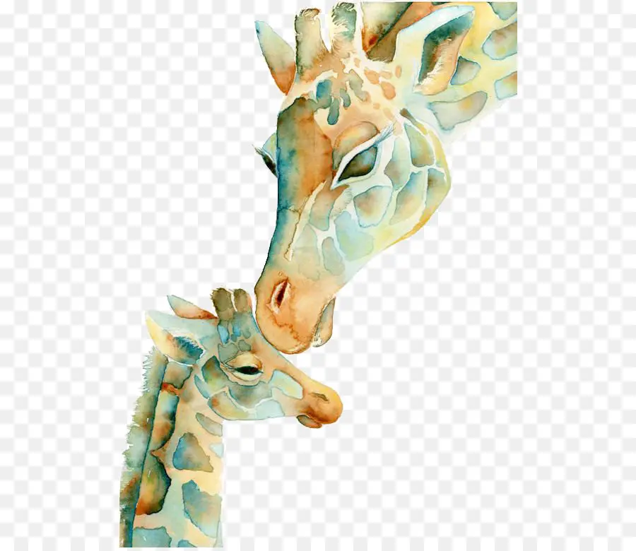 Girafa，Aquarela Pintura PNG