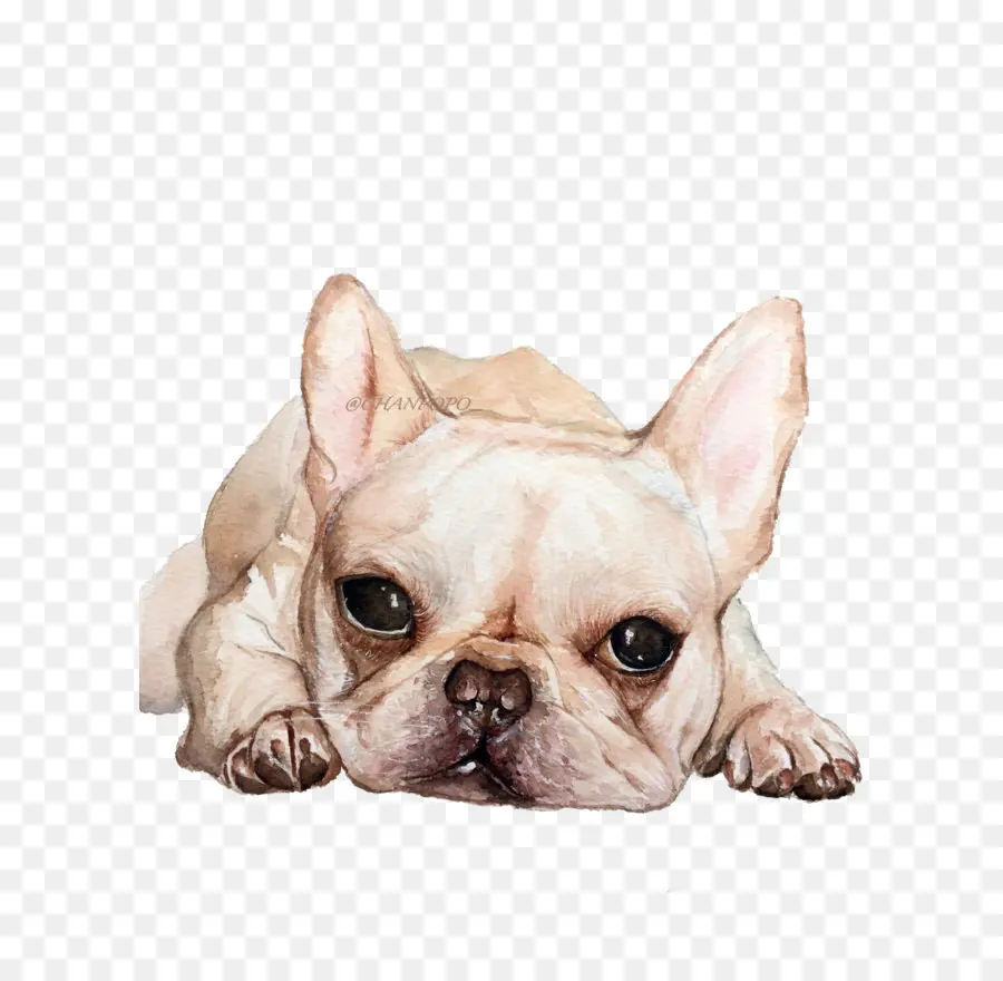 Cachorro，Filhote De Cachorro PNG