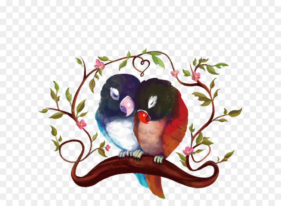 Lovebird，Papagaio PNG