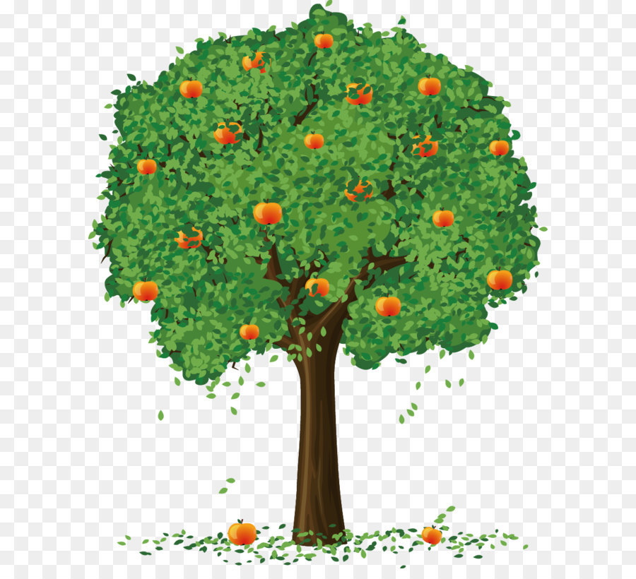 árvore，Apple PNG