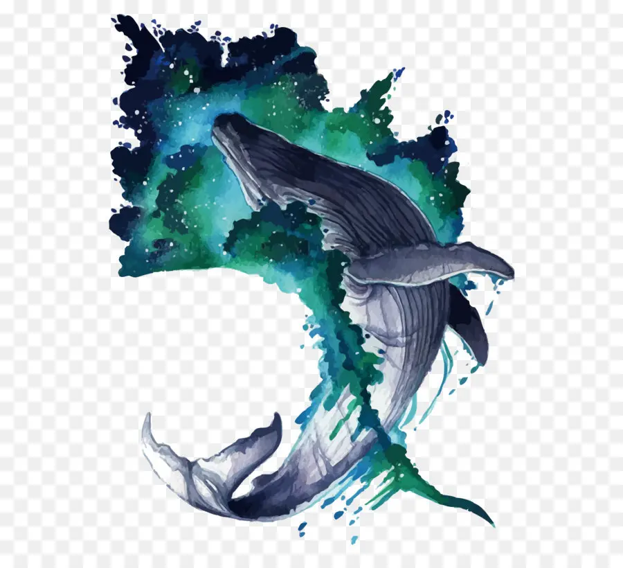 Baleia，Aquarela Pintura PNG