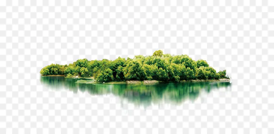 água Recursos，árvore PNG