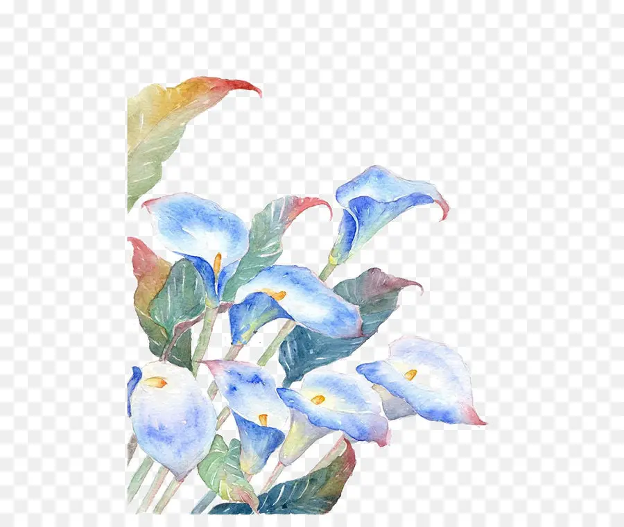 Aquarela Pintura，Flor PNG