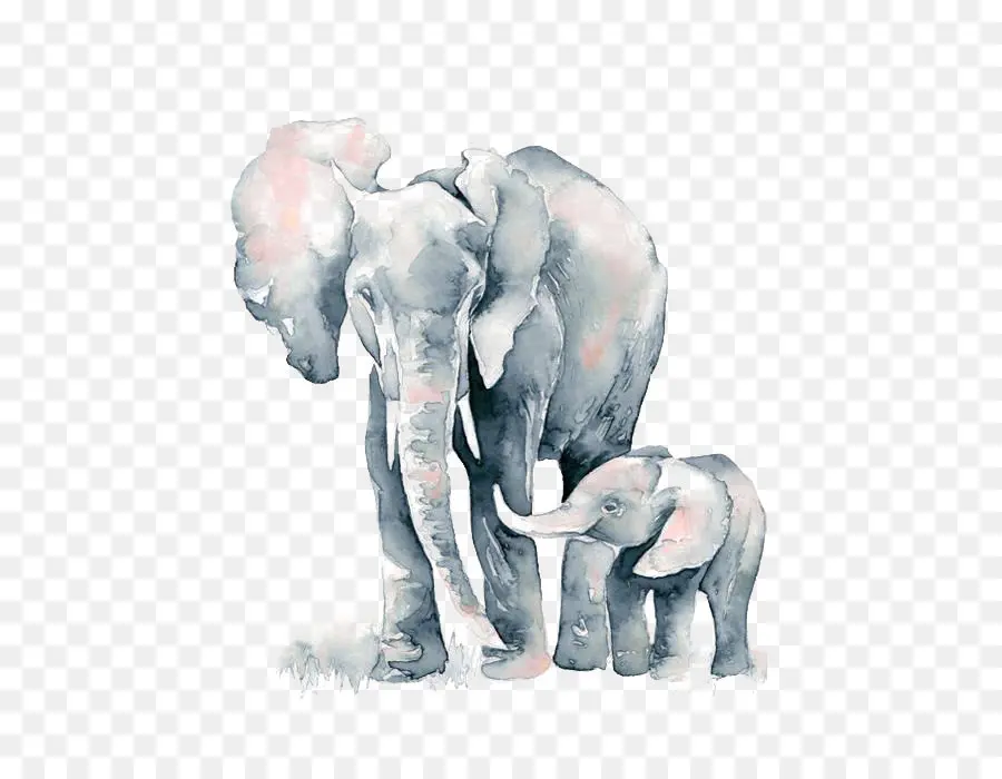 Afro Elefante，Elefante PNG