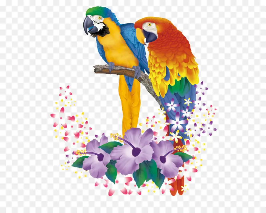 Papagaio，Aquarela Pintura PNG